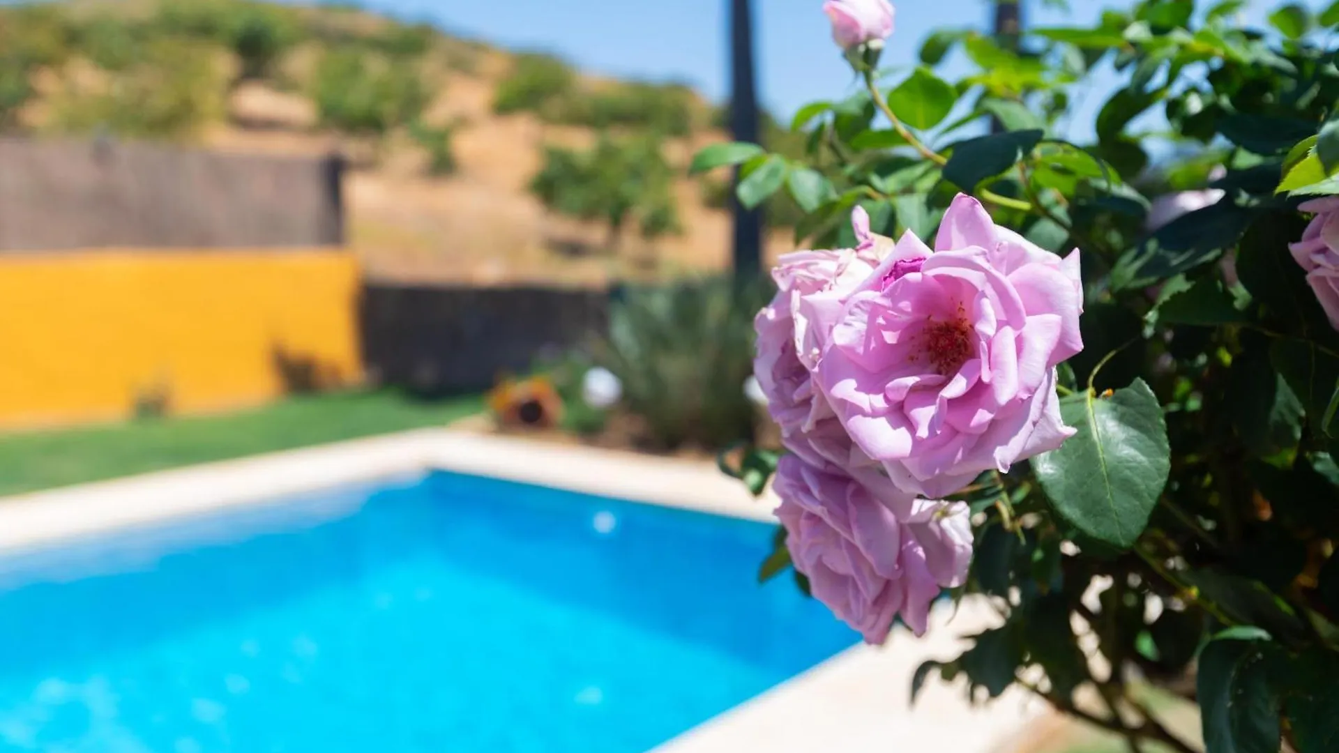 El Descanso Mijas 0*,  Spain